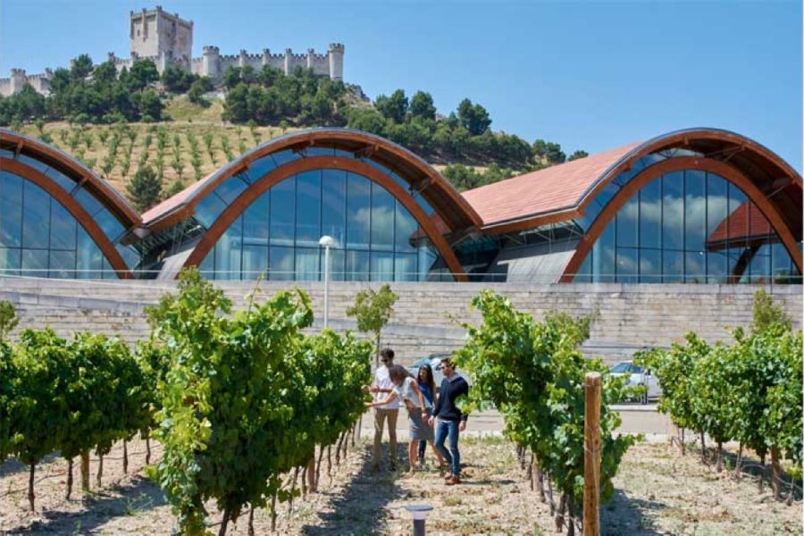 Bodegas Protos